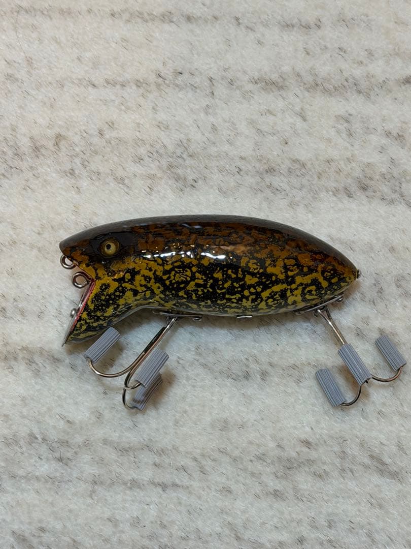 道楽 淀川のカワズ