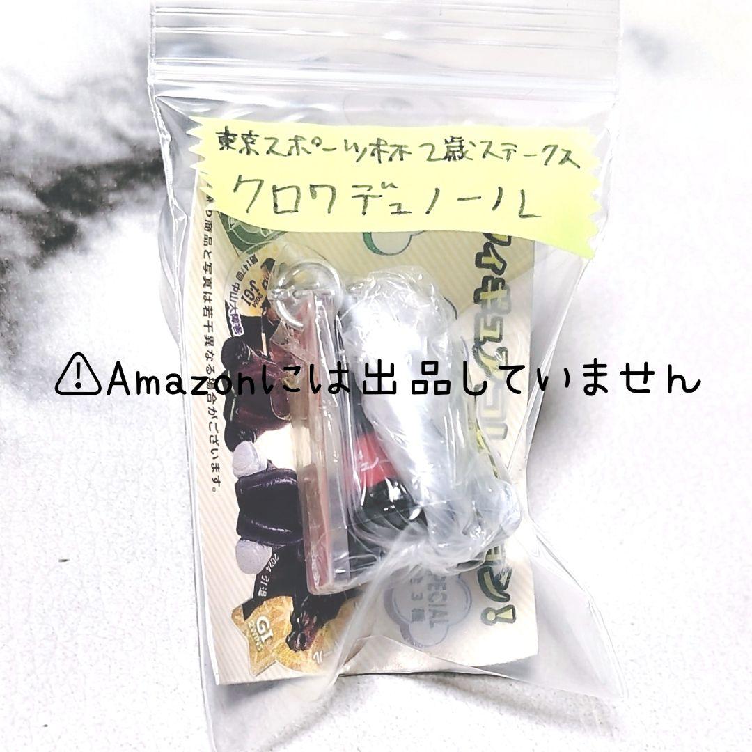 【競馬】クロワデュノール セット②