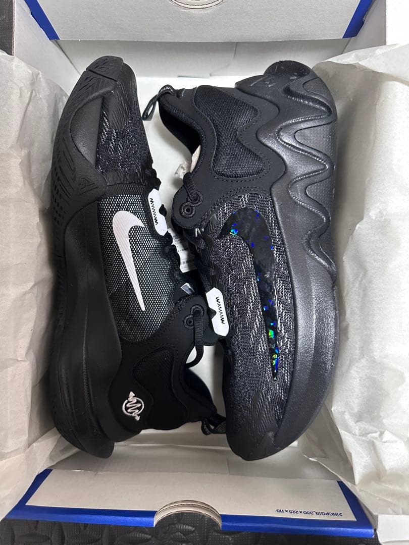 ナイキ ヤニス イモータリティ 2 NIKE ブラックDM0825-002 長渕