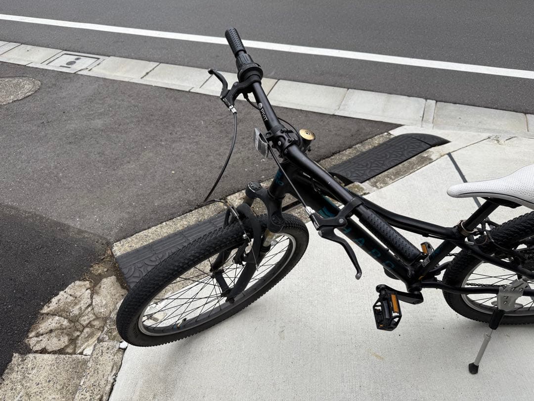 HARO FLIGHT LINE 24インチ マウンテンバイク キッズ 自転車
