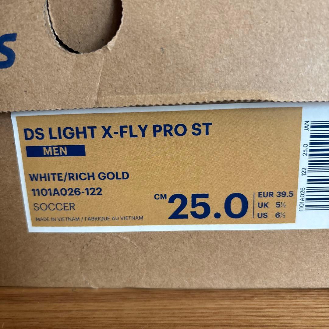 25cm　アシックス　サッカー　DS LIGHT X-FLY 　1101A026