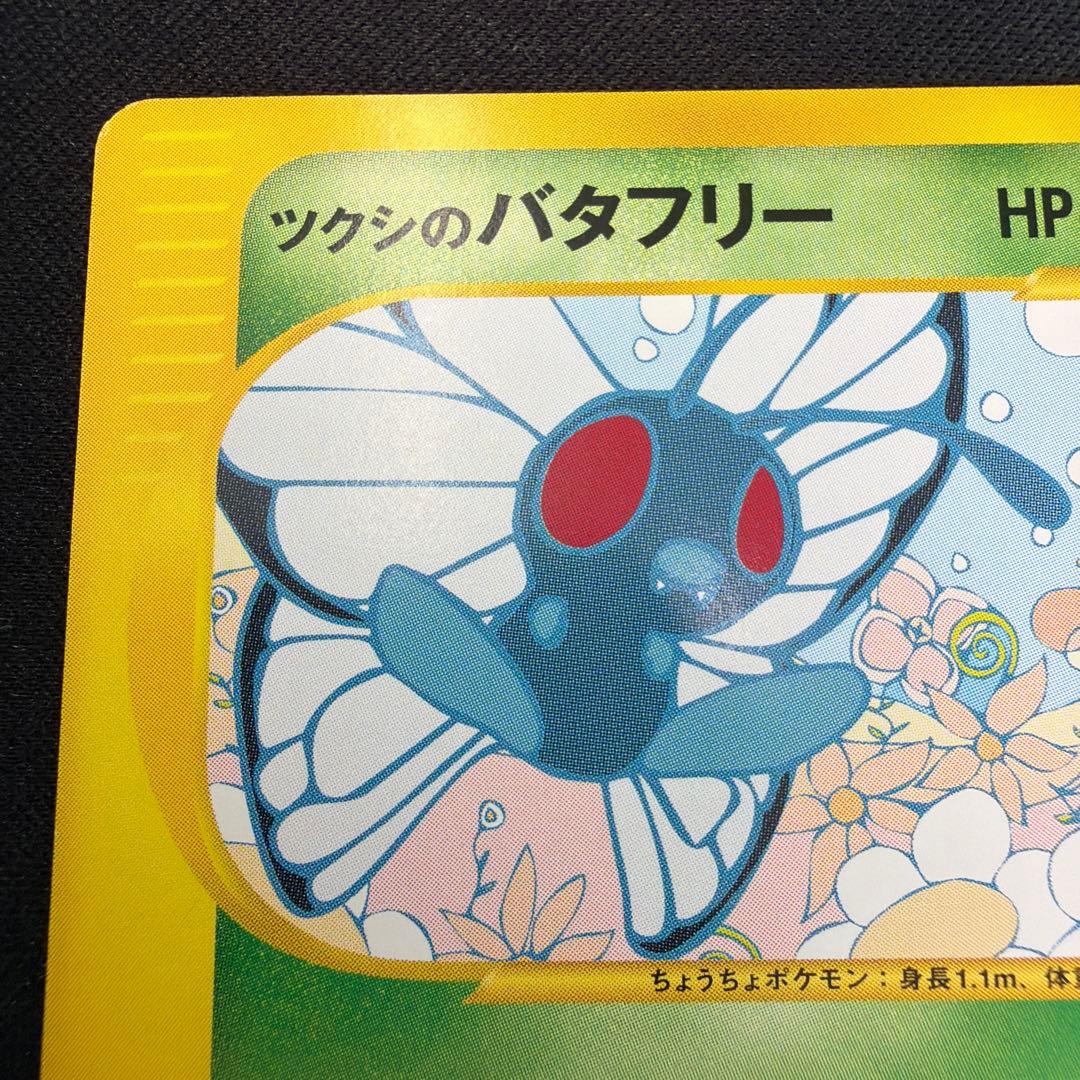 極美品　ツクシのバタフリー