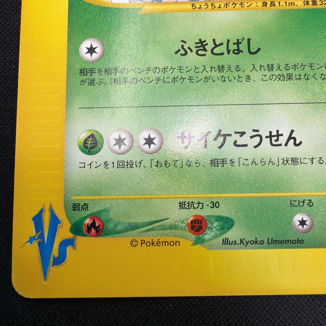 極美品　ツクシのバタフリー