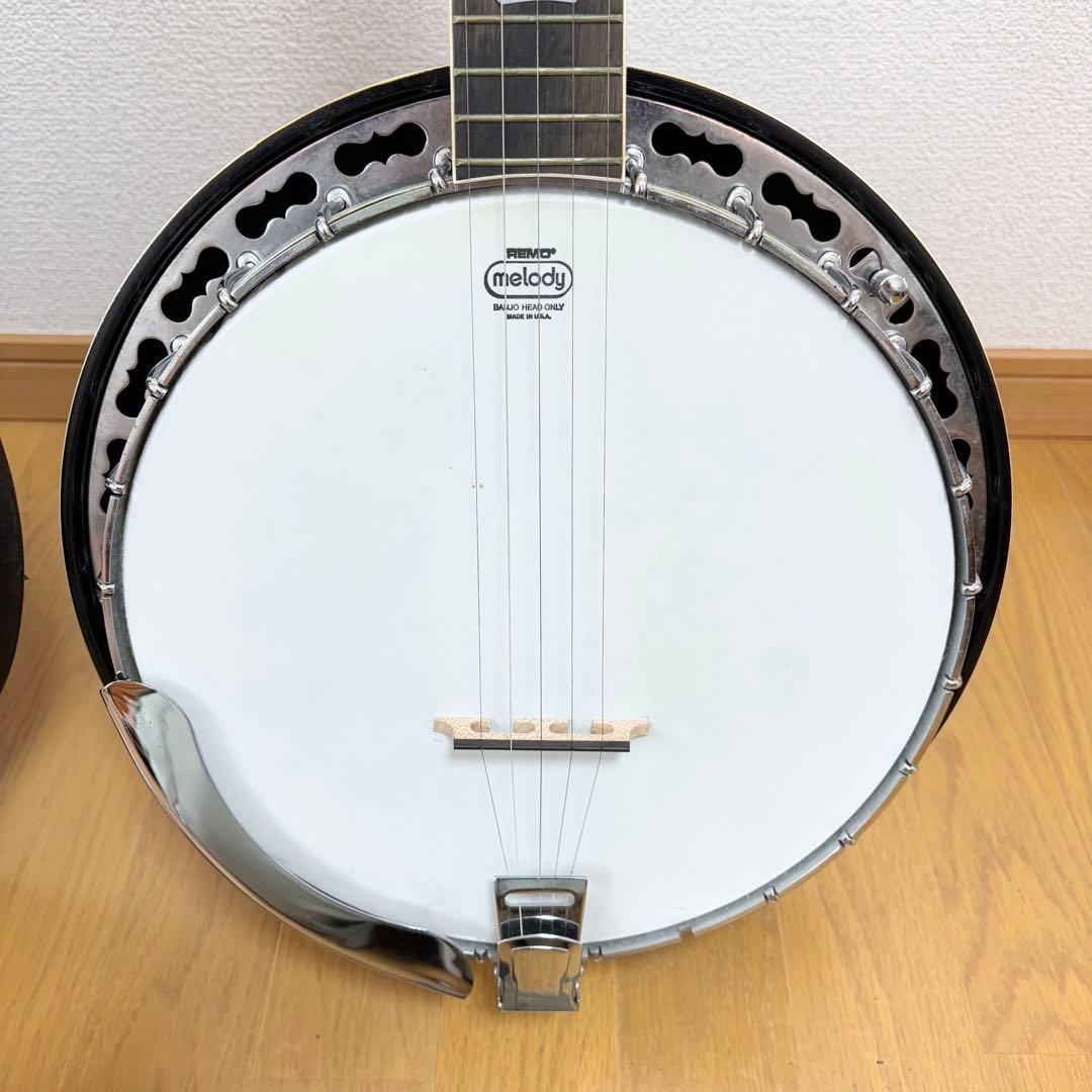 Tenesy 5弦バンジョー ケース付き 付属品あり