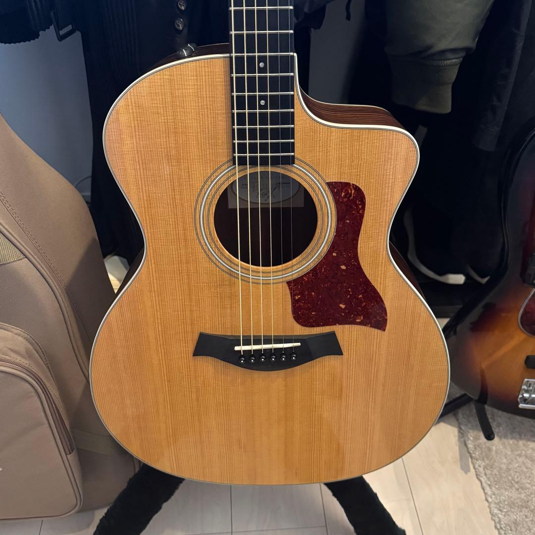 Taylor 214ce ES2 メンテ済み 美品 ギグバッグ付き ケース