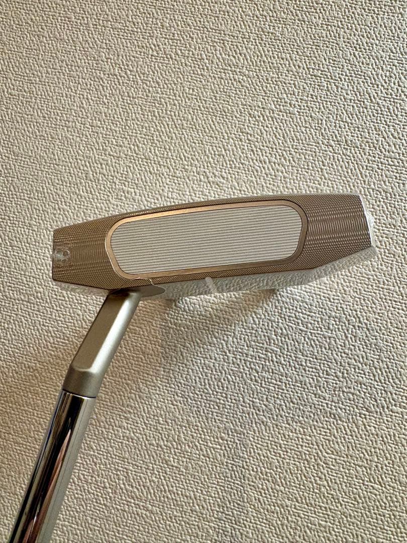 mstkさま専用　3/14-17発送不可【新品】Ai-ONE SILVER #7