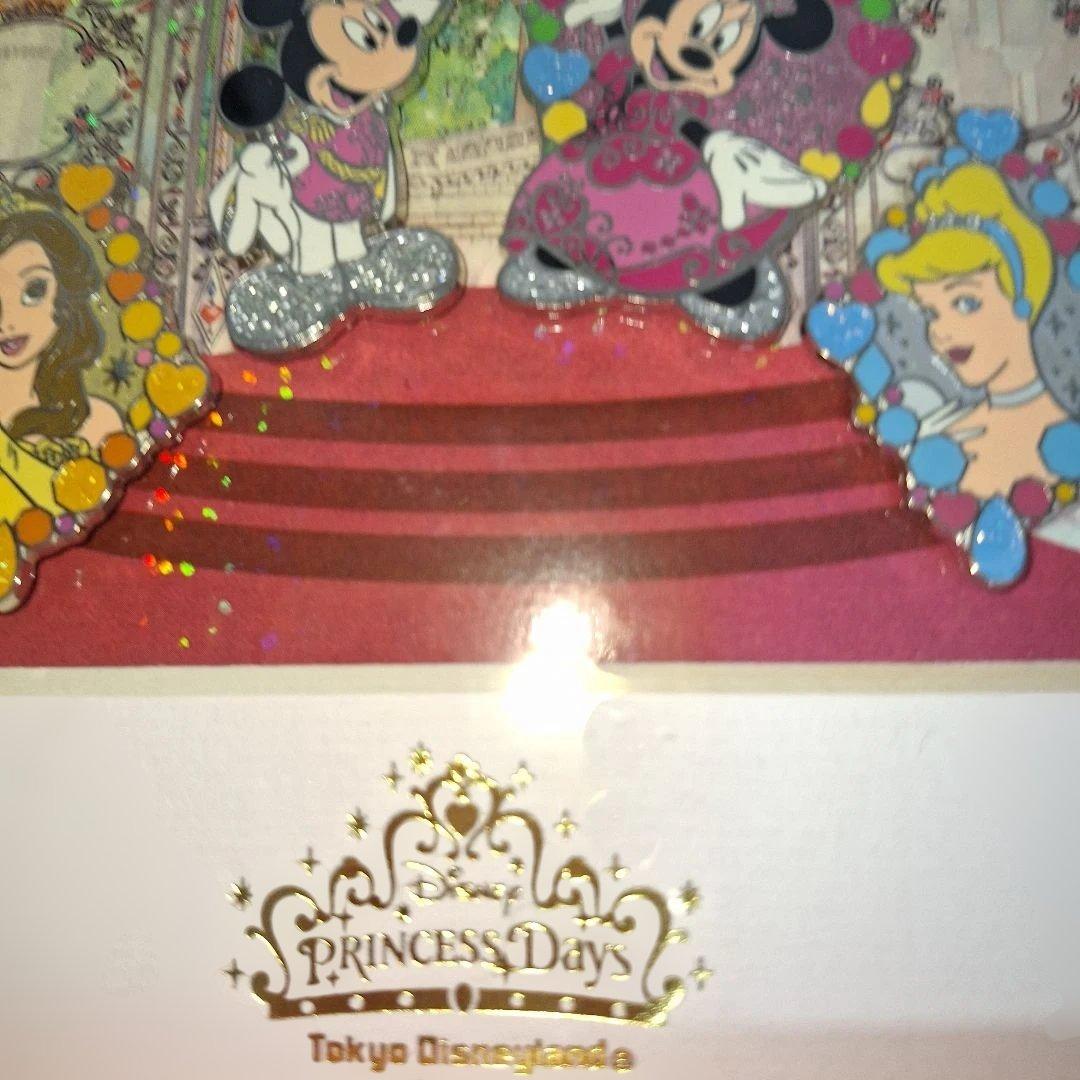 激レア　ディズニープリンセス　ディズニーピンバッジセット