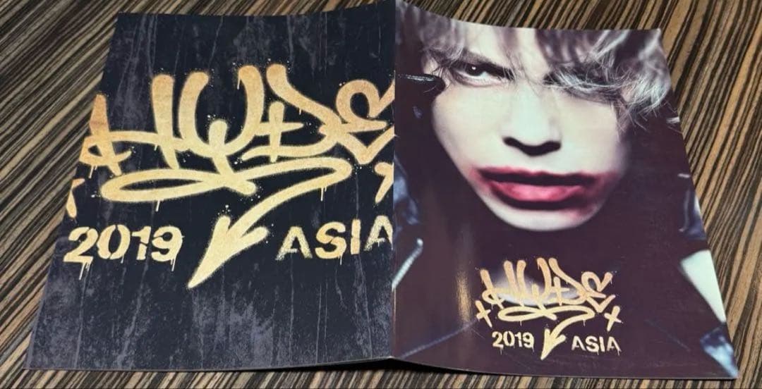 L'Arc〜en〜Ciel/hydeツアーパンフレット/写真集 10冊セット