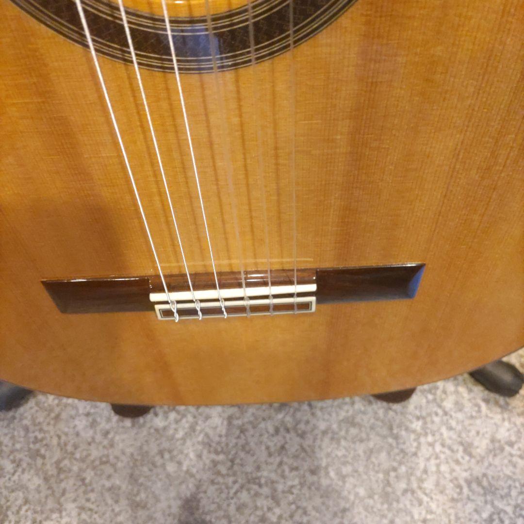 cordoba Gk Studio Negra エレガット (管理テオ)