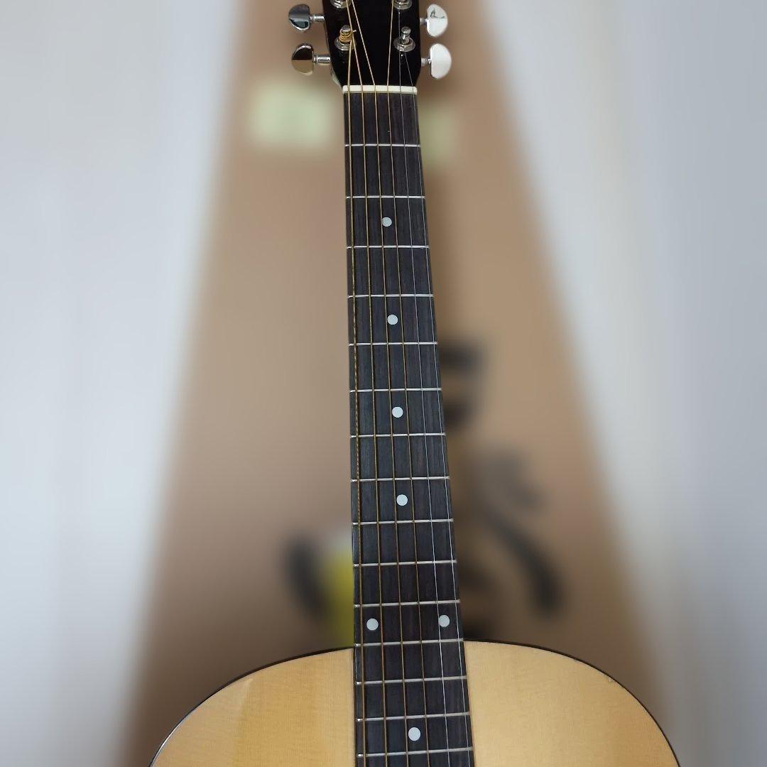Recording King ROS-G6 アコースティックギター