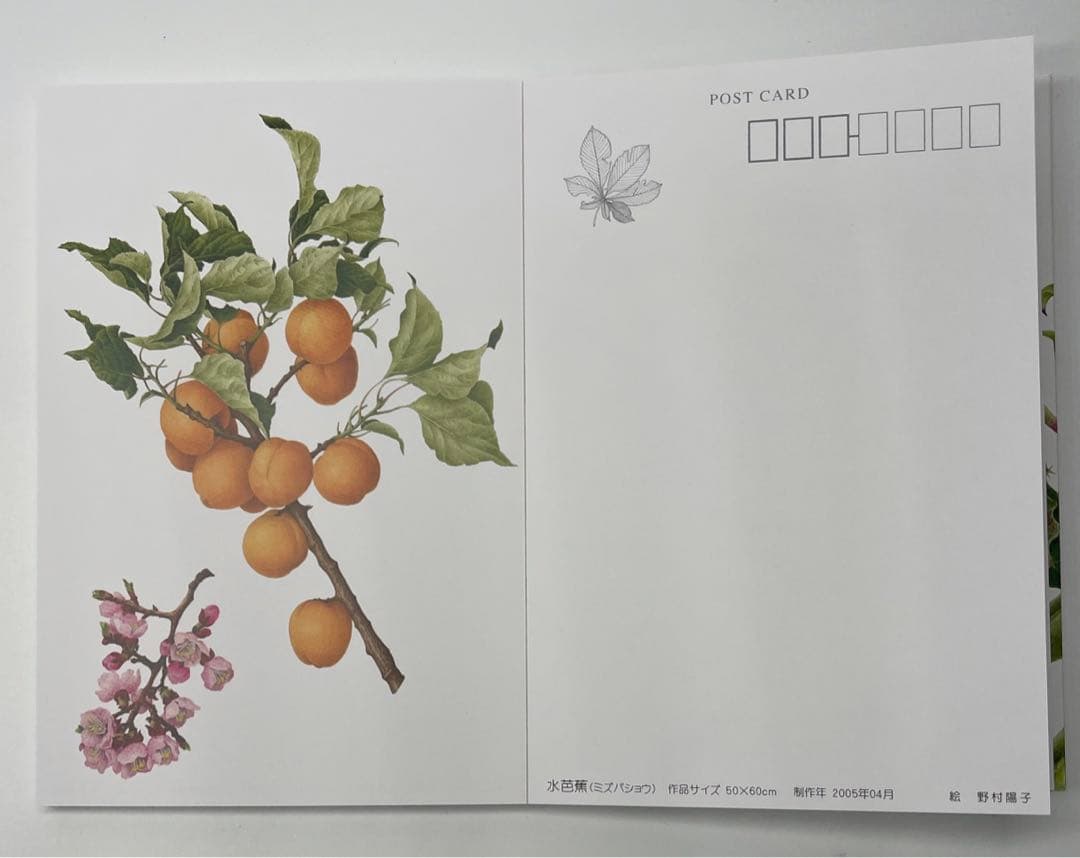 野村陽子　絵葉書集 里山の四季を描く