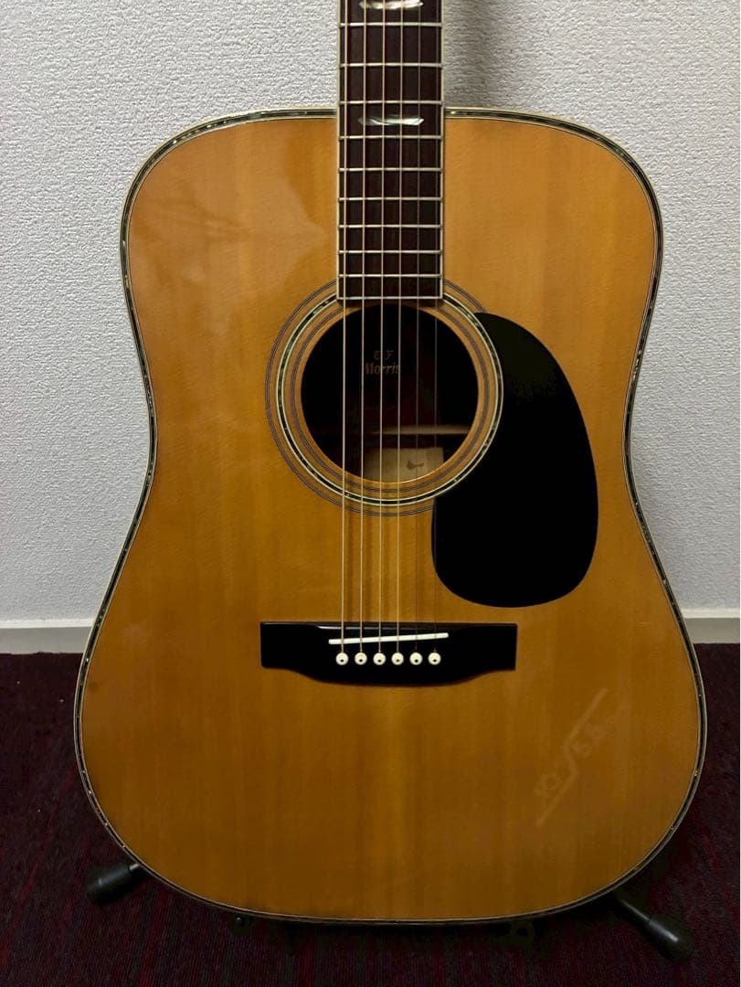 Morris W-50アコースティックギター