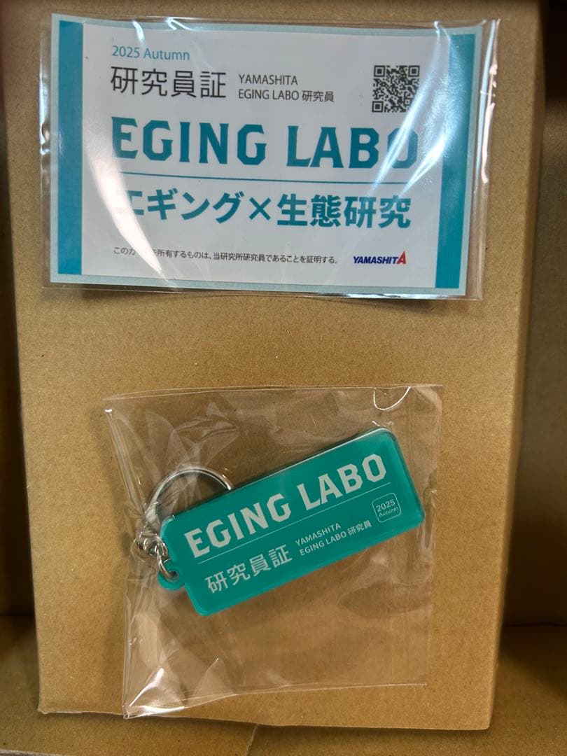 YAMASHITA EGING LABO セット
