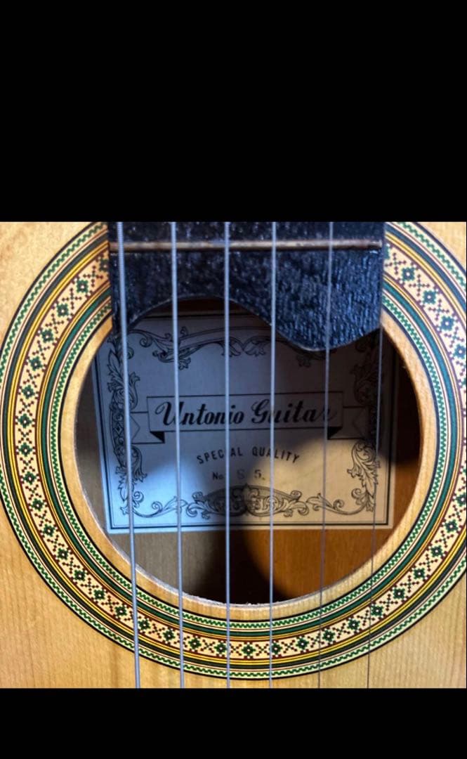 らっき組電子ギターとAntonio Guitarra No. S5ギター