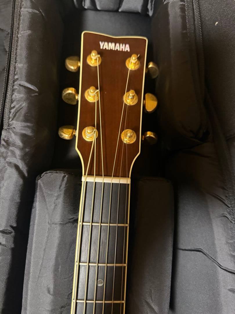 ギター YAMAHA LS16 ARE