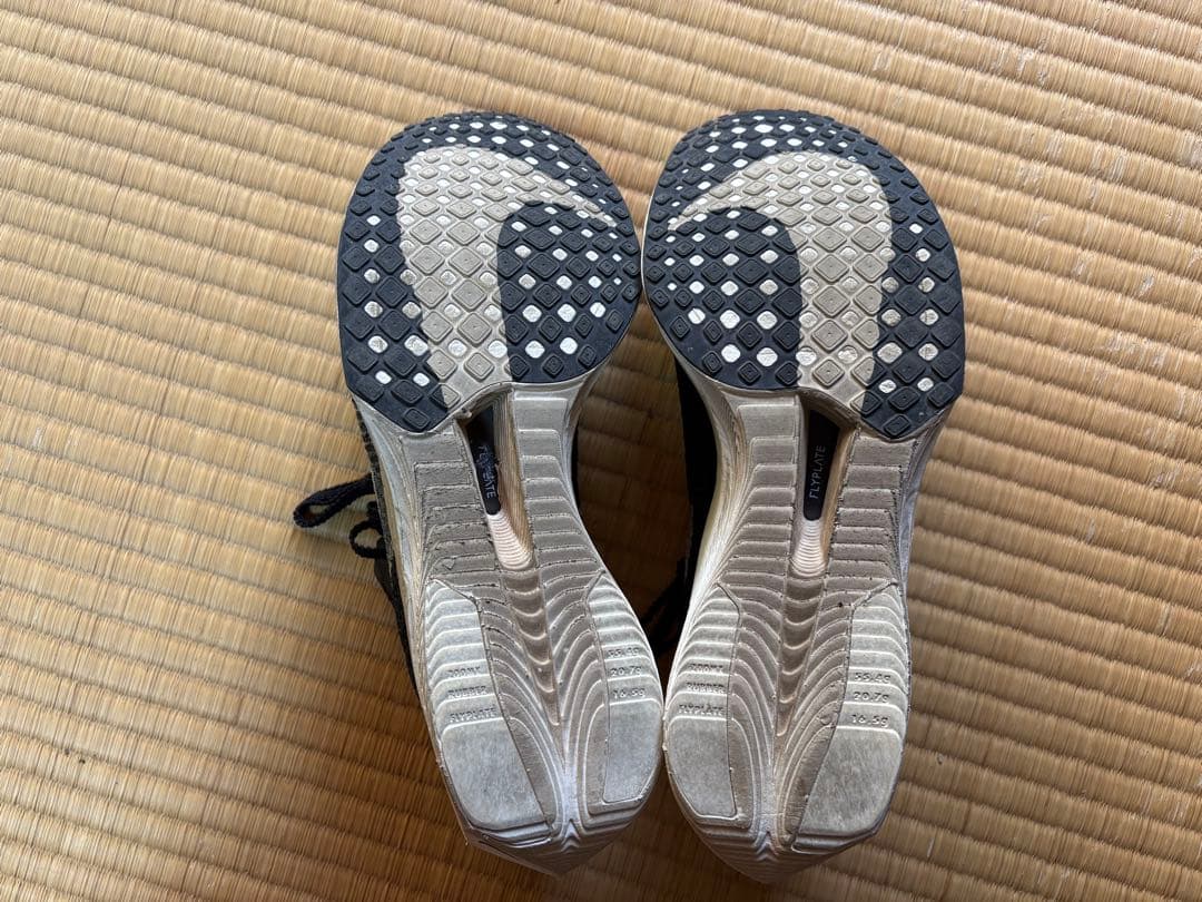NIKE ヴェイパーフライ3 25.5cm