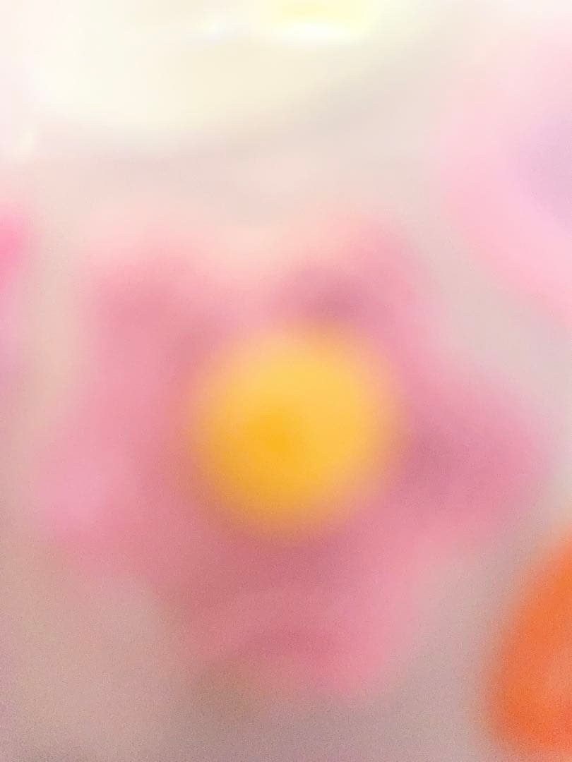 ぴち子先生　ラビリンス編