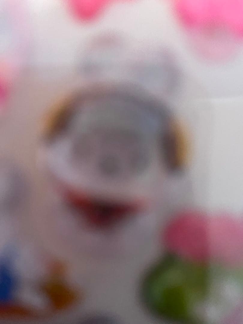 ぴち子先生　ラビリンス編