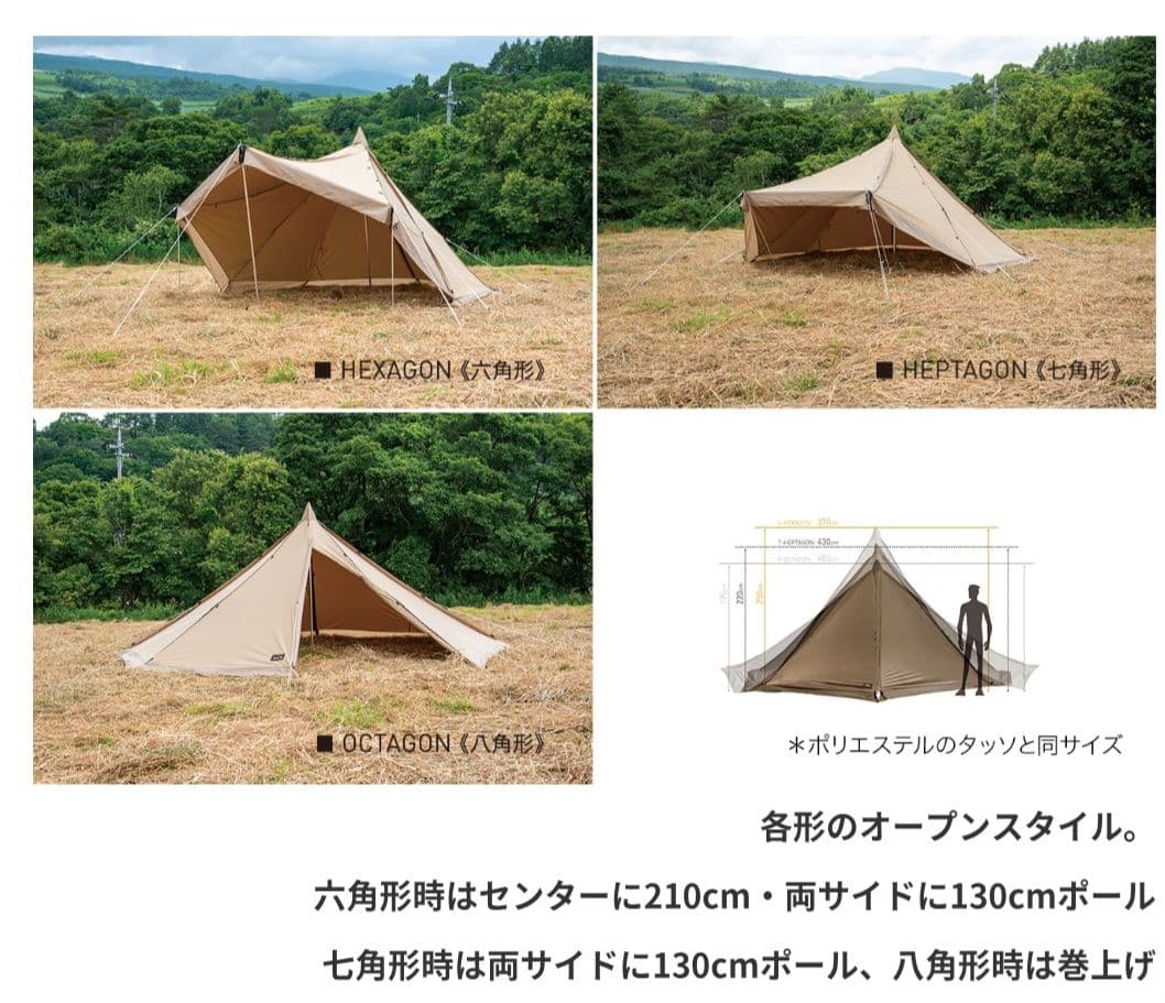 オガワ　タッソtc　ogawa Tasso T/C
