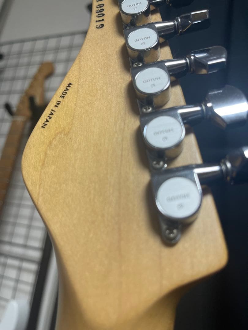 シェクター/schecter SD-2-24 限定モデル