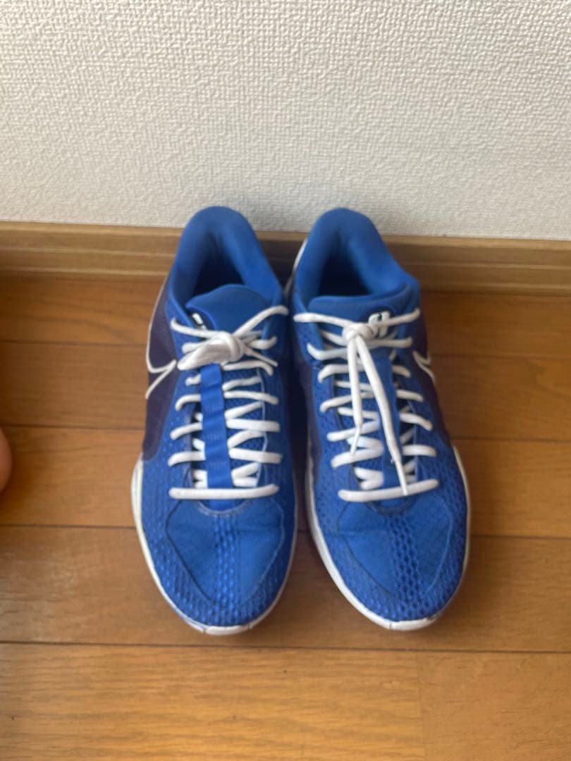 Nike バスケットボールシューズ サブリナ1
