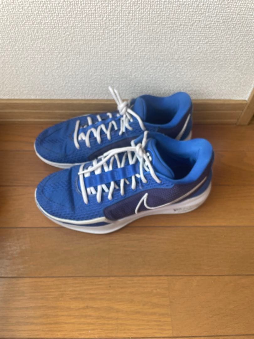 Nike バスケットボールシューズ サブリナ1