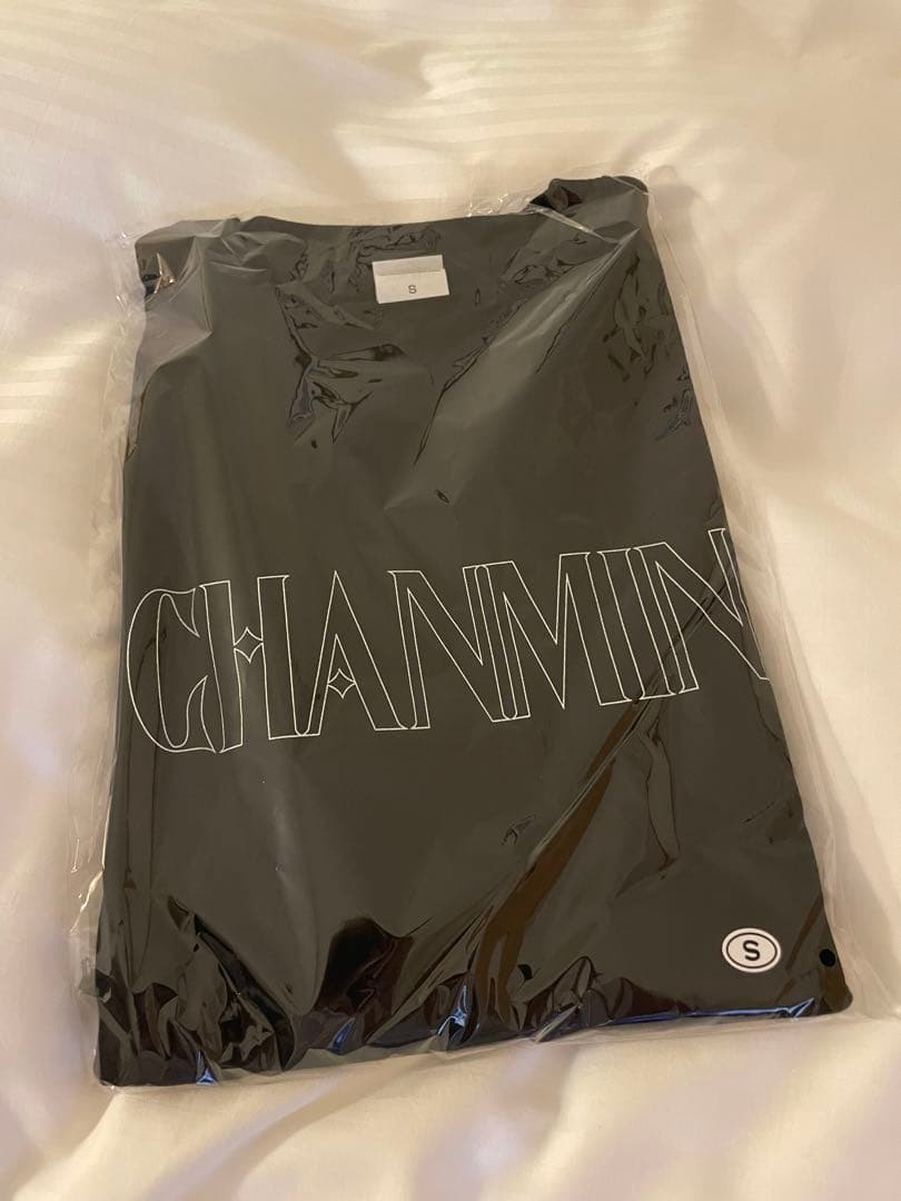 ちゃんみなグッズ ロングスリーブTシャツ ロンＴ 長袖 Ｓサイズ 新品未開封