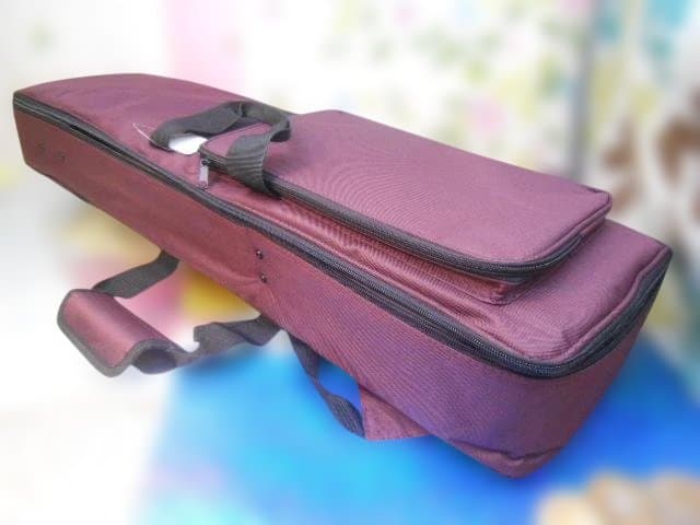 新品未使用(送料無料)11.000円　沖縄三線専用　新型セミハードケース一つ如何