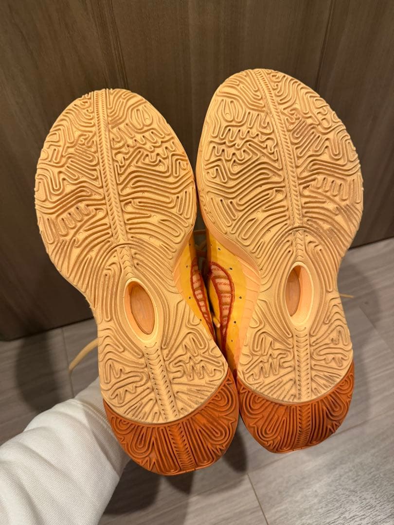 シューズ(男性用) NIKE LEBRON XXI EP 26.5cm MELON TINT
