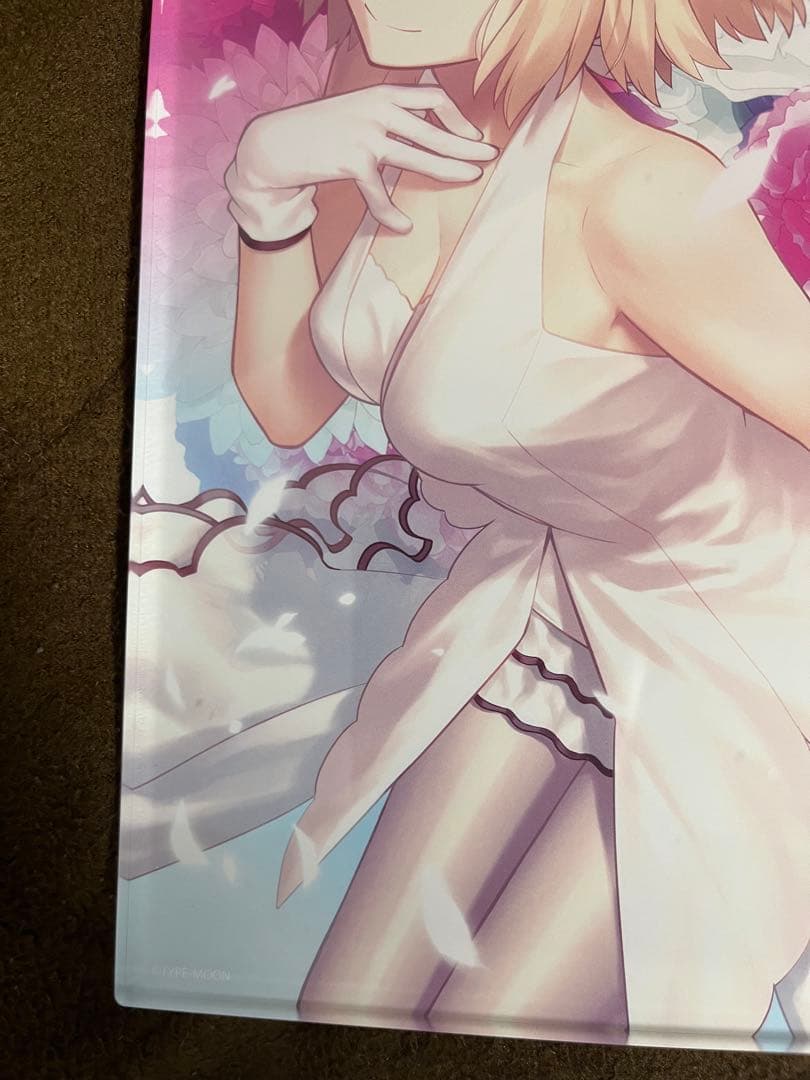 初回限定特典 月姫 武内崇 描き下ろし A4アクリルパネル