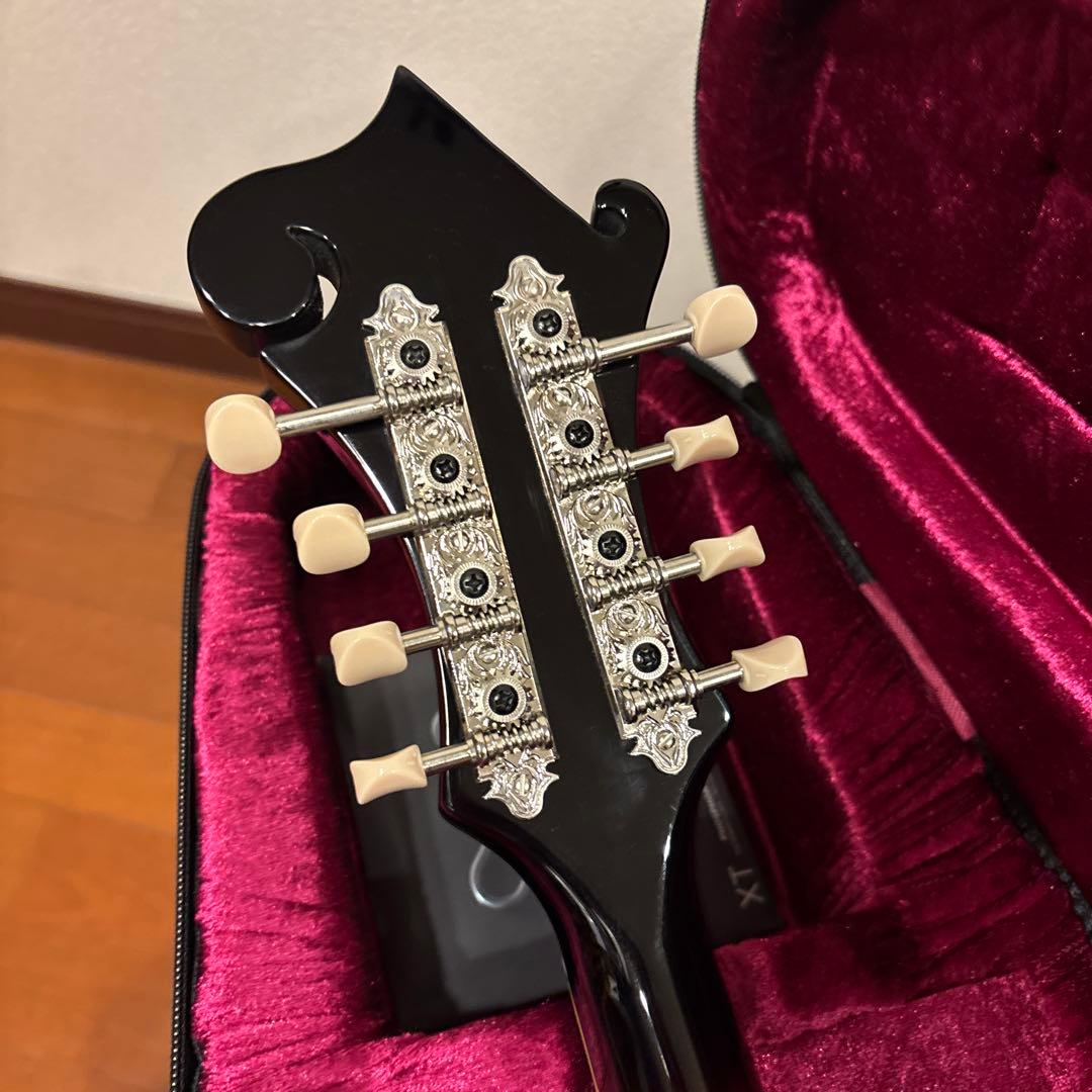 LOAR LM-520-VS フラットマンドリン