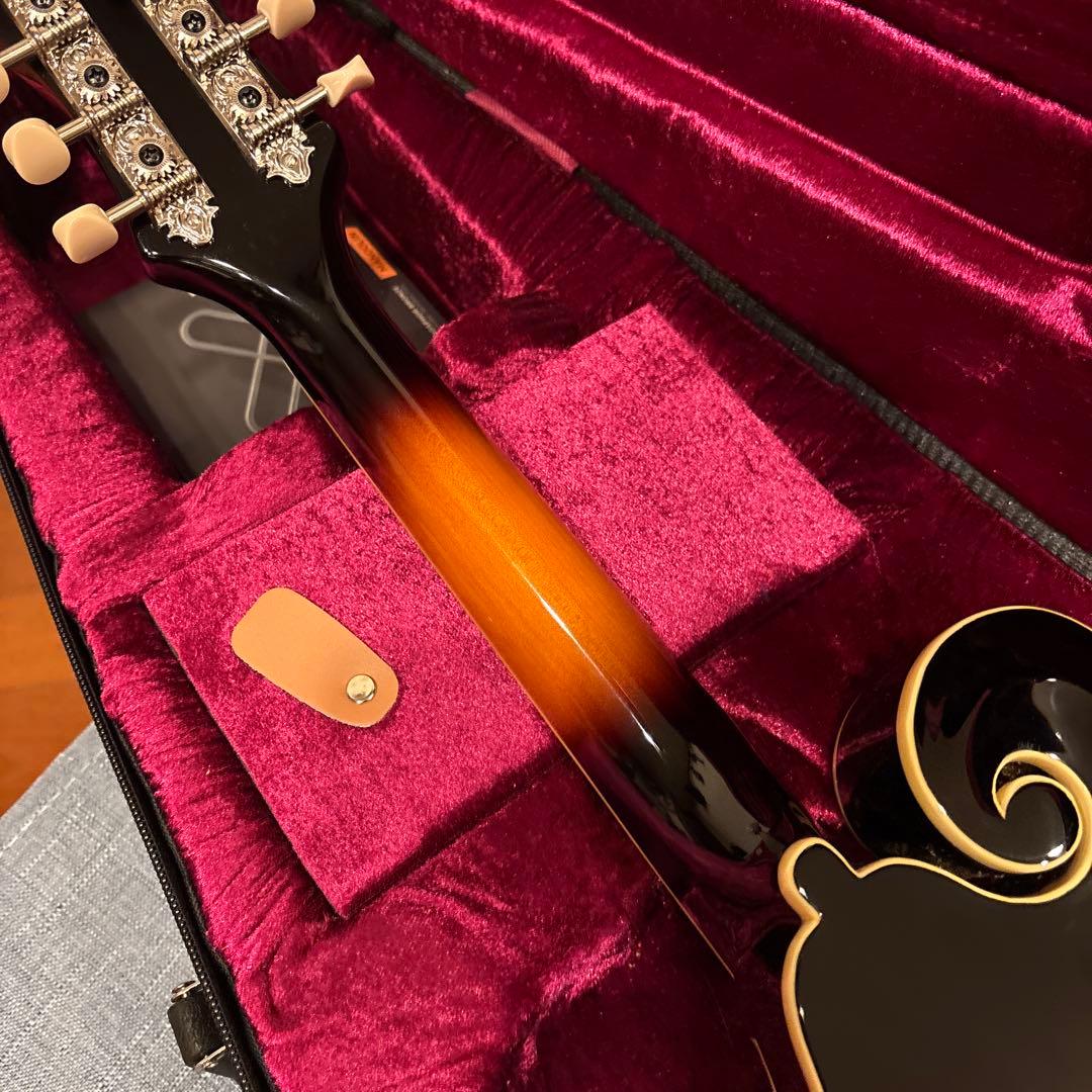 LOAR LM-520-VS フラットマンドリン
