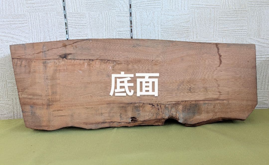 屋久杉台座のみ