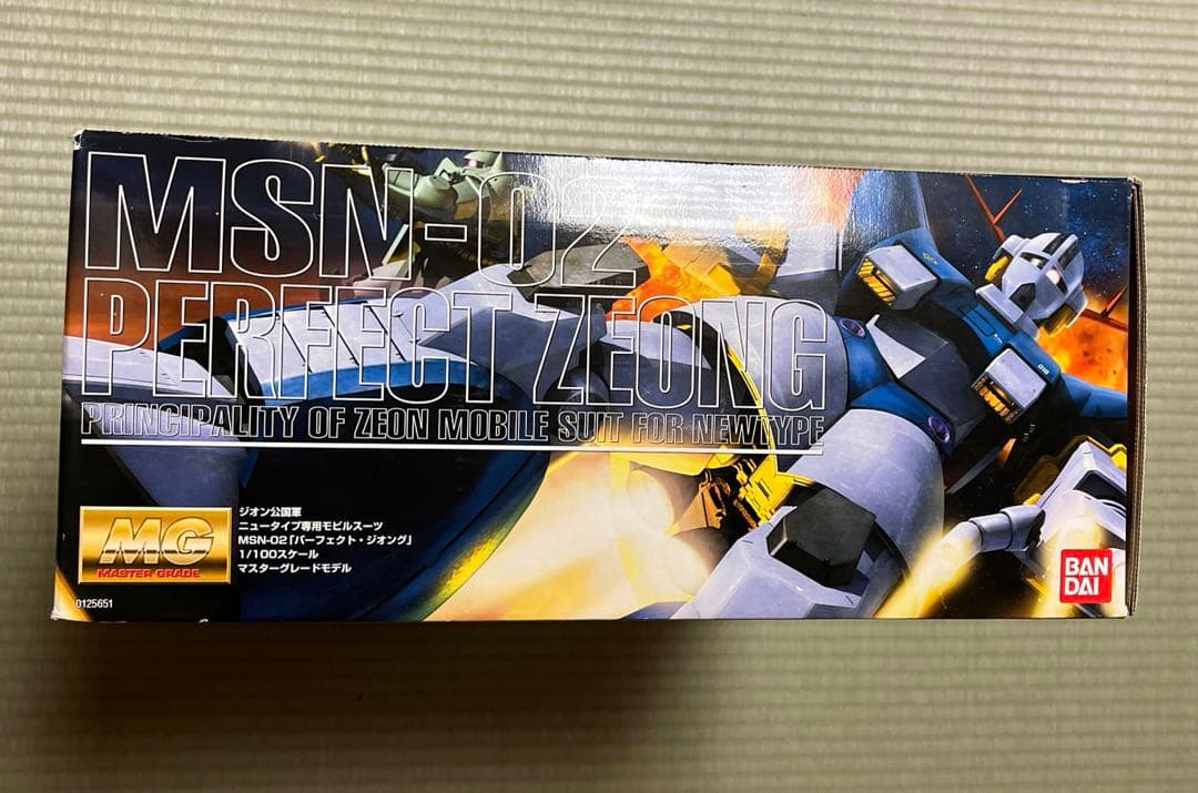 MG MSN-02 パーフェクト・ジオング