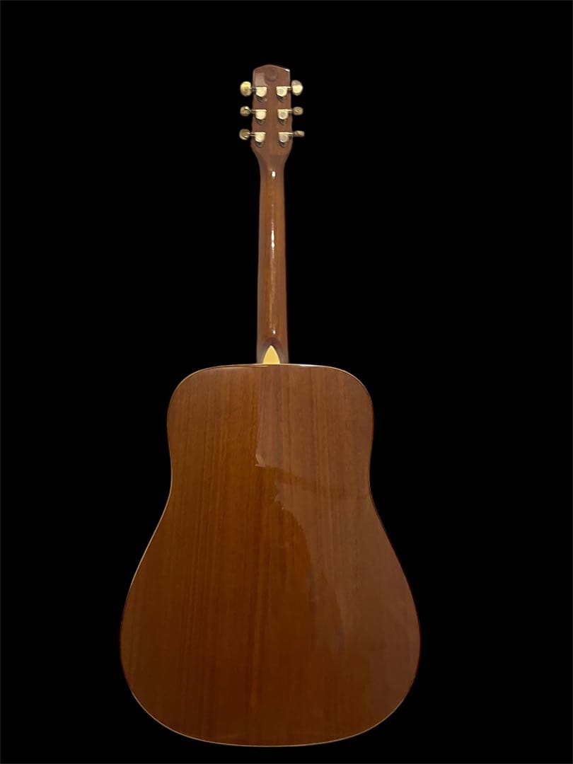 Fina アコースティックAcoustic ギターGuitar