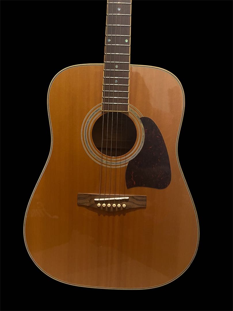 Fina アコースティックAcoustic ギターGuitar