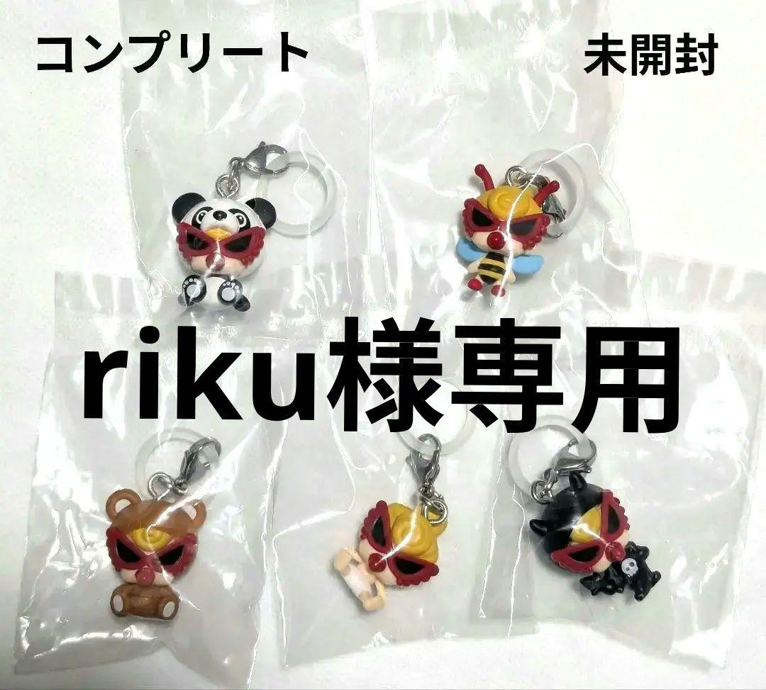 riku ヒスミニ　めじるしアクセサリー　コンプリート　5種
