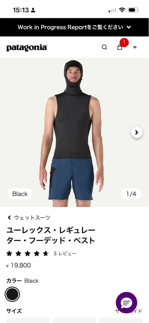 patagonia インナーウェットスーツ