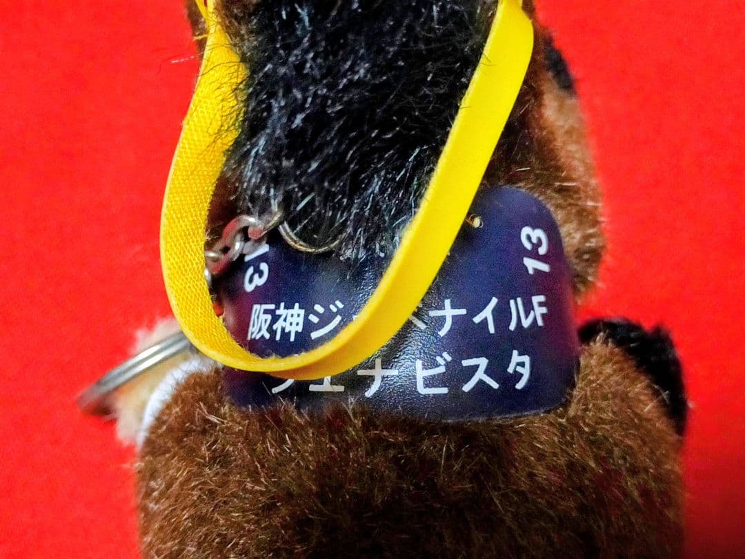 ◆　競馬　JRA　◆ブエナビスタ◆阪神ジュベナイルフィリーズ　セット　◆２歳女王