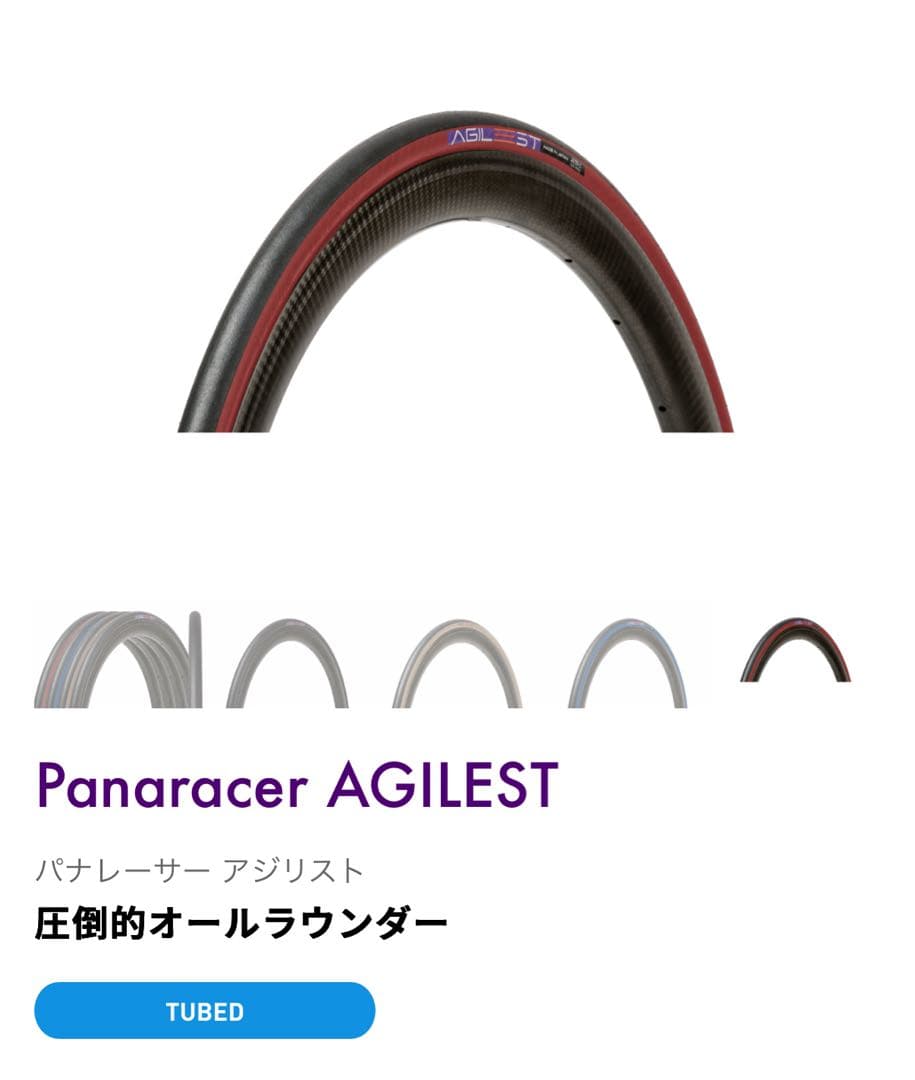 Panaracer AGILEST 25C チューブドタイヤ2本組
