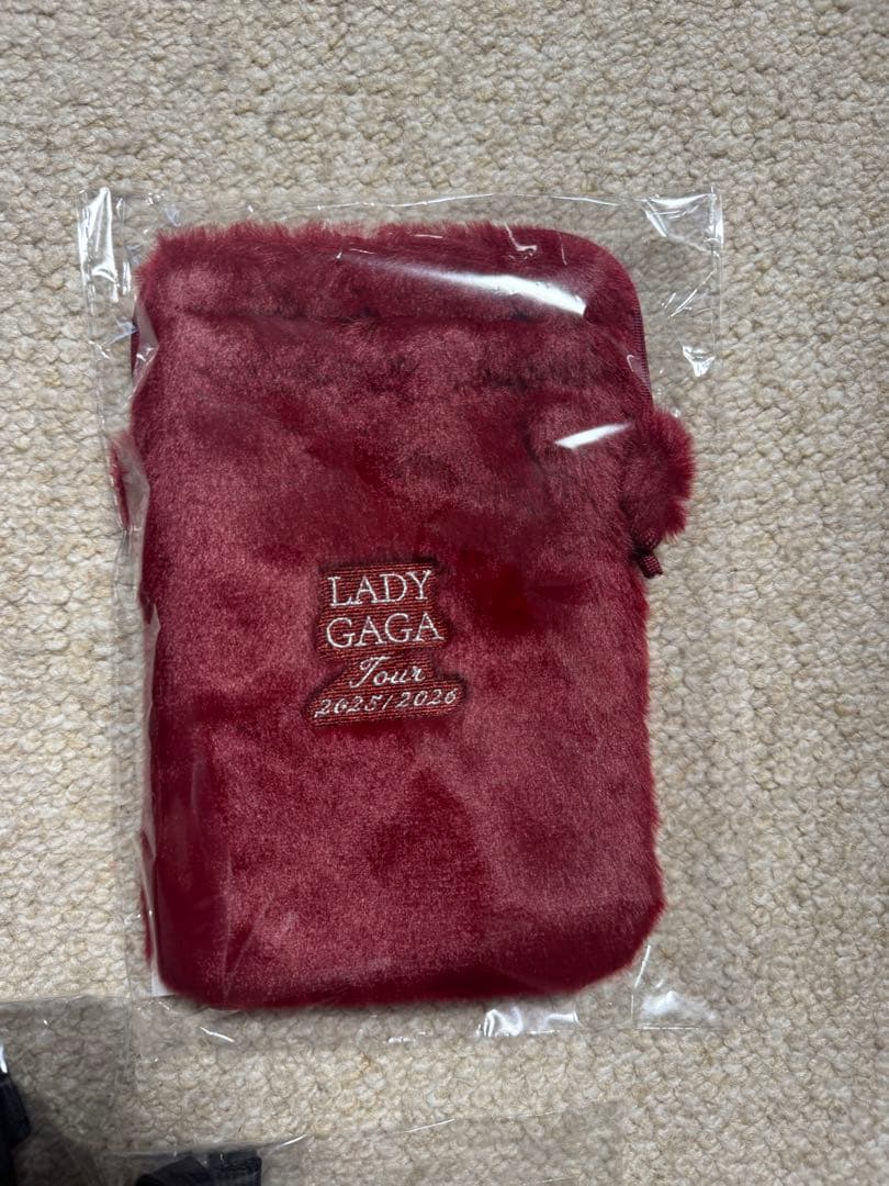 レディガガ　東京公演　Lady Gaga VIP GOLD グッズ　セット