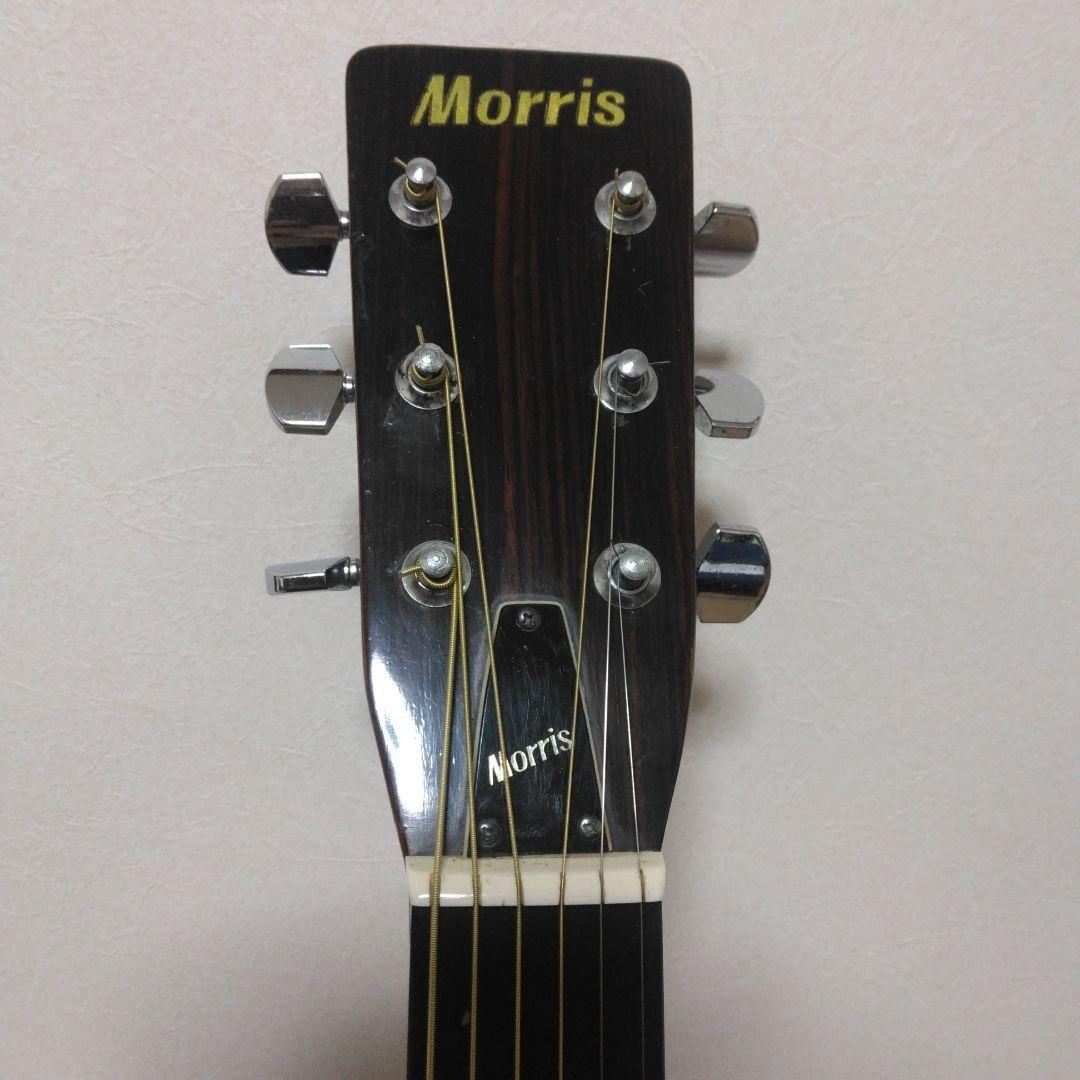 Morris モーリス　W-20 アコースティックギター