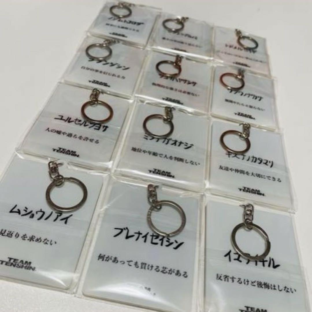 TEAM TENSHIN那須川天心グッズまとめ売り