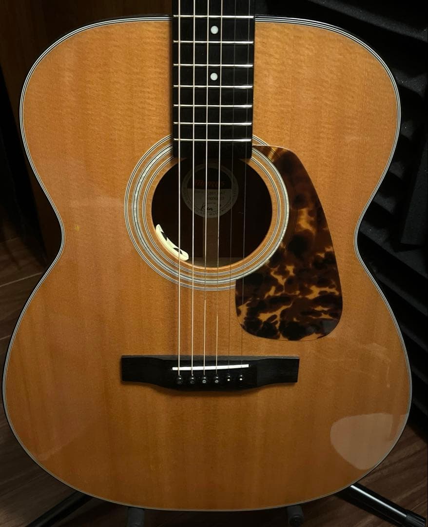 Morris F-351 エレアコ ギター
