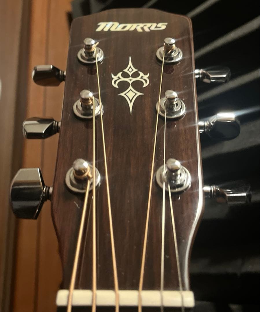 Morris F-351 エレアコ ギター