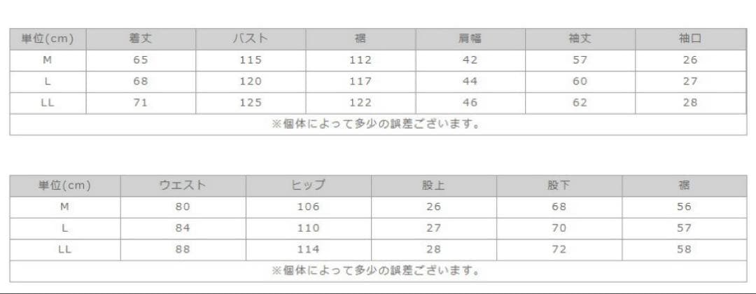 【美品】レディース スノーボードウェア LL BANNNE バンネ