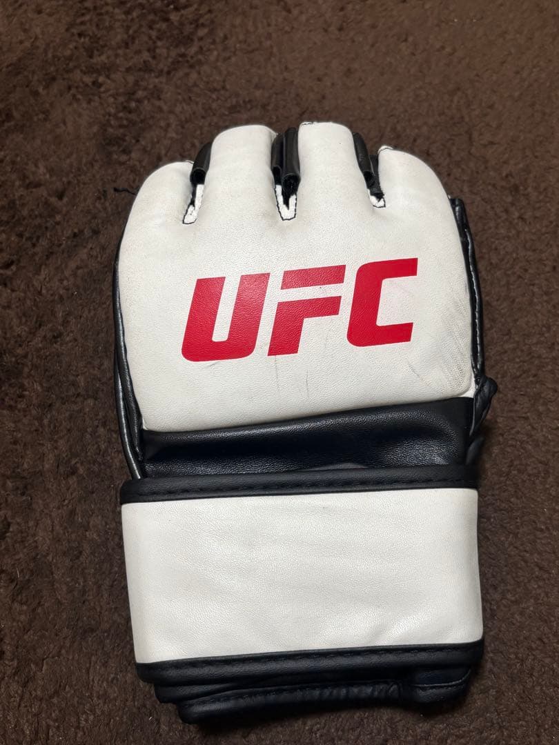 UFC ボクシンググローブ Lサイズ