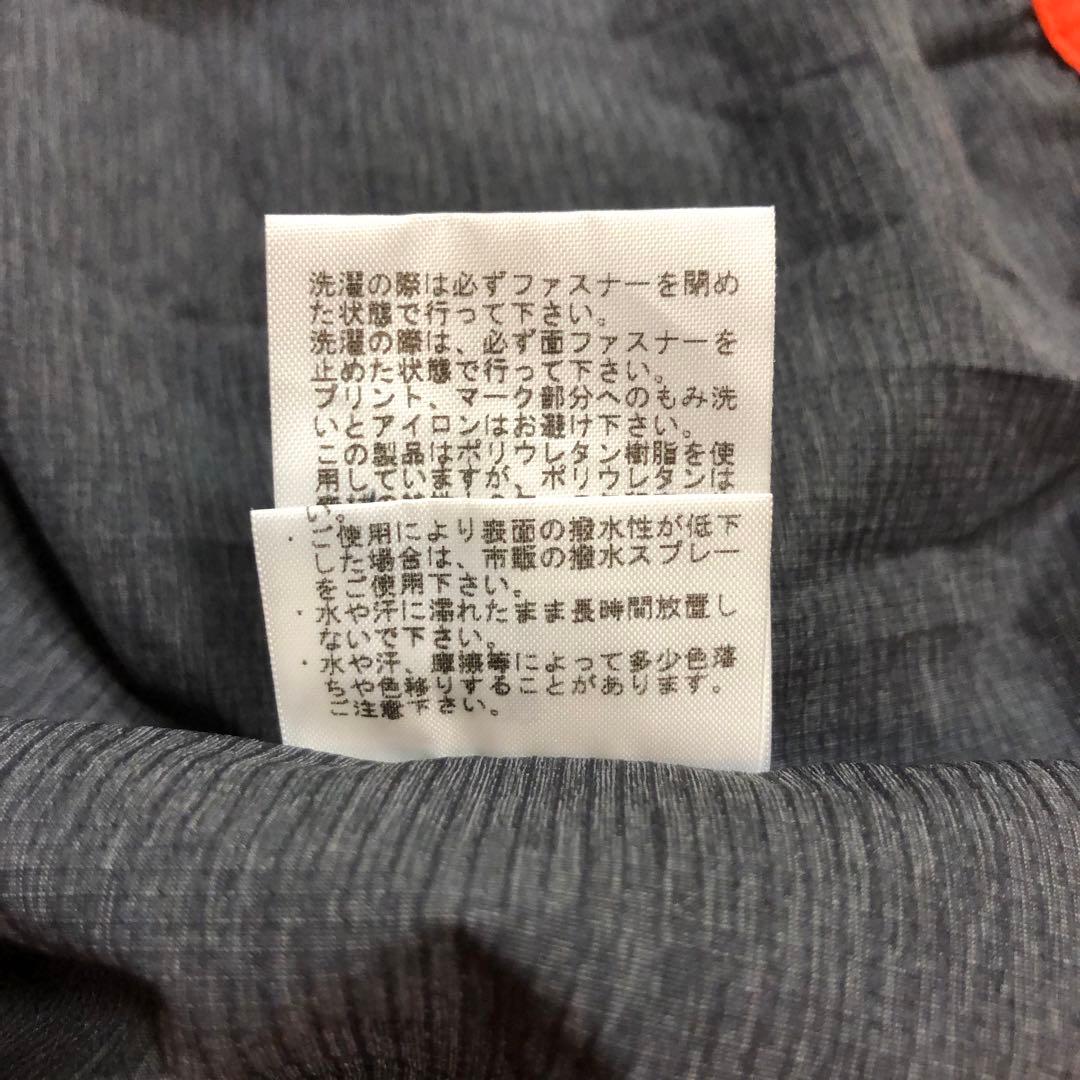 THE NORTH FACE ノースフェイス スワローテイル ベント フーディ