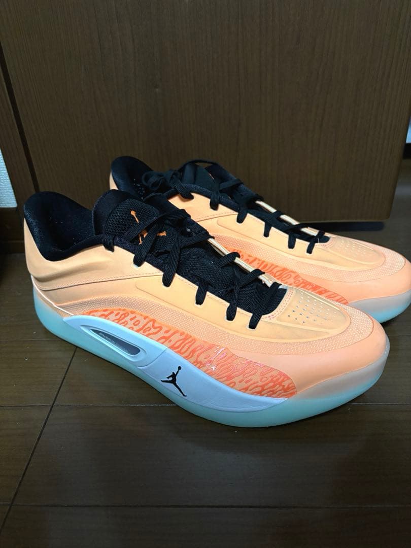 NIKE jordan ザイオン4 Zion4 30cm