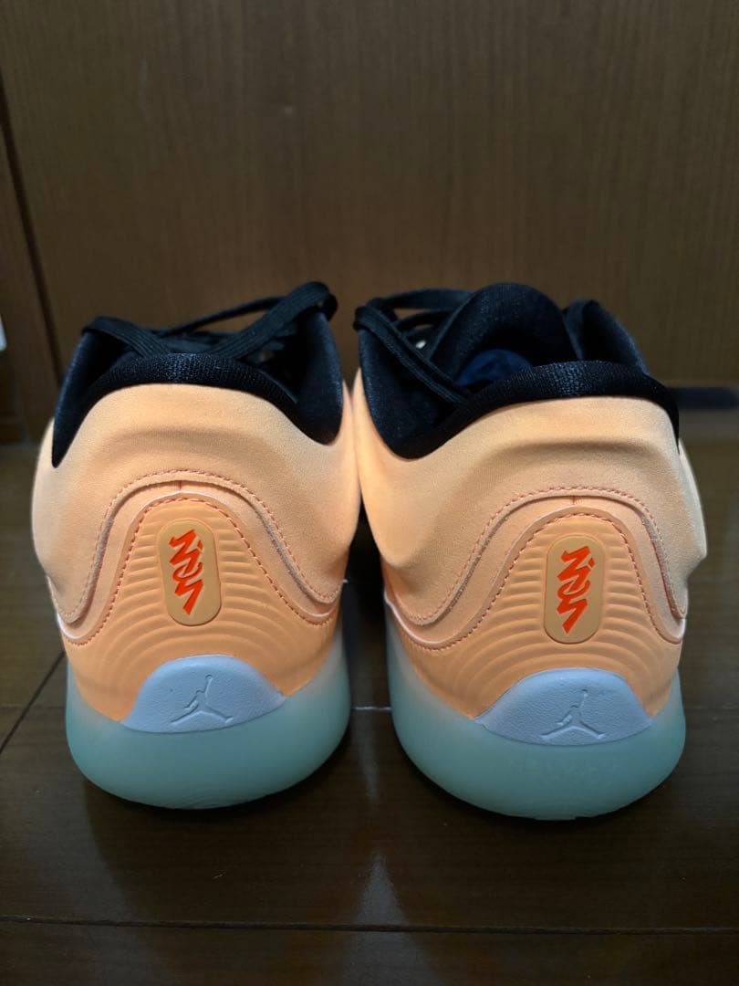 NIKE jordan ザイオン4 Zion4 30cm